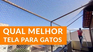 Qual a Tela para Gatos Mais Indicada | Gato é Vida #gatoevida