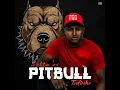 Solta os Pitbull Todinho