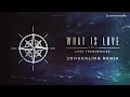 Lost Frequencies - What Is Love 2016 (Zonderling Remix)