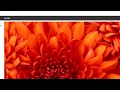 Using join query in codeigniter Linksys Intelligence Deepak Prajapati