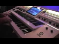 Download Lagu Avignon Fox Medley Played Live by Jelle van Marrum