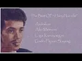 Lagu THE BEST OF HARRY NOERDIE