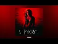 Download Lagu Shakira - Whenever, Wherever