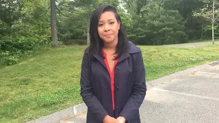 Reporter Update Coyote Attacks Teen In Swampscott