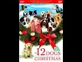 Download Lagu Original DVD Opening: The 12 Dogs Of Christmas (UK Retail DVD)
