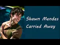 Shawn Mendes - Carried Away (Lyrics)