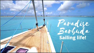 Sailing Barbuda – A bird watcher’s paradise EP42