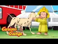 Download Lagu George Saves Blaze the Firedog 🐵 Curious George 🐵 Kids Cartoon 🐵 Kids Movies