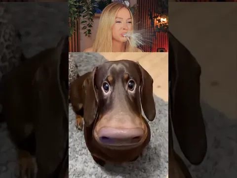 Try Not To Laugh Challenge 882