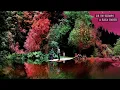 DE UN TIEMPO A ESTA PARTE - LA DELIO VALDEZ - VIDEOLYRIC