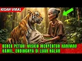Lagu Petani Miskin Ini Nekat Menolong Harimau Melahirkan, Akhir Hidupnya Berubah Total