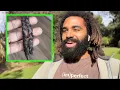 How To Prevent Buildup in Freeform Locs Adelaide Australia