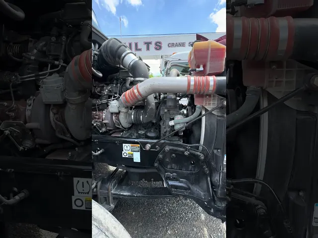 View Video