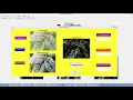 Grape leaf disease using MATLAB