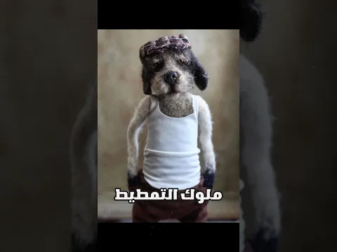 زنقة الميمز | اول 900 حلقة من ون بيس مملين 😏