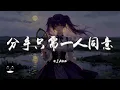IAO - 分手只需一人同意『沈默地殘忍沈淪在黑暗，完全沒解釋也沒答話毫無責任。』【動態歌詞 | Pinyin Lyrics】【PENGUIN MUSIC】