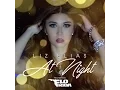 Download Lagu Liz Elias - At Night ft. Flo Rida [Lyric Video]