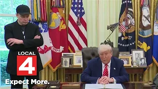                                   دندنها