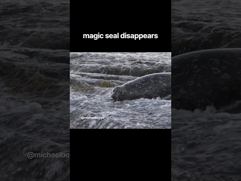 Seal does a magic trick