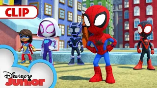 Download Ms. Marvel \u0026 Black Panther | Compilation | Marvel's Spidey and his Amazing Friends | @disneyjunior MP3