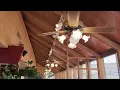 Casablanca Delta I Ceiling Fans in a restaurant atrium