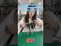 Download Lagu Orbital Welding Machine For Semiconductor Gas Pipeline Manufacturer Supplier Best Price In Taiwan UK