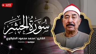 تلاوة للشيخ محمد محمود الطبلاوي سورة الحشر بث مباشر 