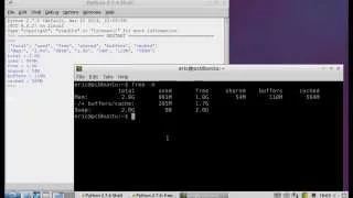 Python display memory usage on Linux