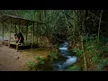 Download Lagu Building a tropical forest shelter with a bamboo bath and survival ||solo camping-bushcraft