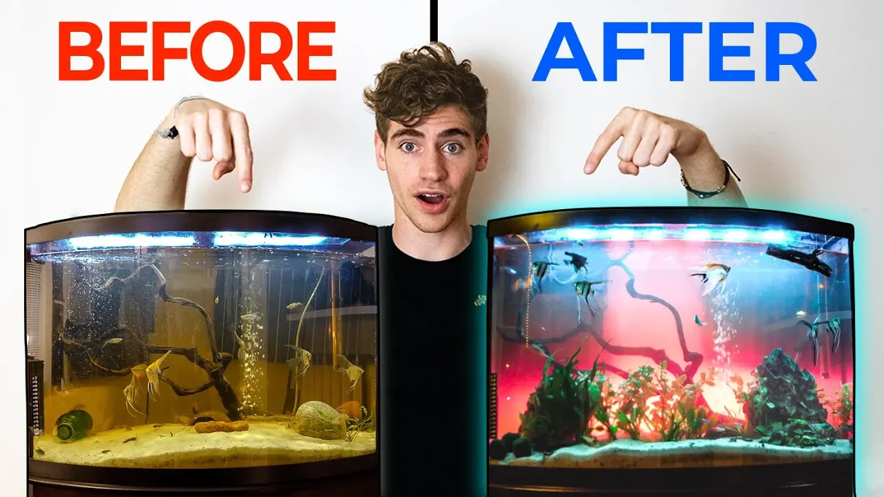 EXTREME TANK TRANSFORMATION... who's the lucky owner? (Freshwater)