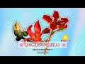 Download Lagu Bricks FLOWER 🌸 BOMBAX CEIBA 🌸 Bunga Randu Alas 9095-11 PART 1 lego building blocks home decorations