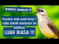 Download Lagu Pancingan trucukan gacor ngalas tarung ropel paling bagus untuk pancingan trucukan agar bunyi nyaut