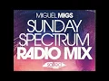 Lagu Miguel Migs ♫ Sunday Spectrum Radio Mix ♫ Salted Music ♫ Traxsource Live