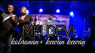 Download Lagu MEI DEVI TAK DUT lagu kobro kewan kewan feat Widiana Dea avittec