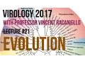 Virology Lectures 2017 Evolution