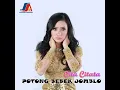 Download Lagu Cita Citata - Potong Bebek Jomblo (Audio)