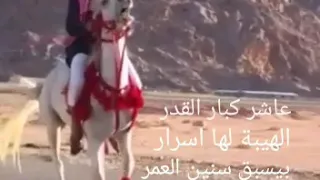 عاشر كبار القدر  عاشر كبار القدر
