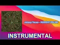 Johnny Venus  - RUNWAY KILLER (INSTRUMENTAL)