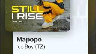 ice boy mapopo ft mkwawa