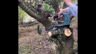 Useful Tree Cutting Device