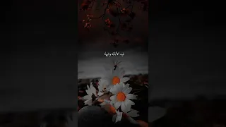 انشودة لا تسمحي ابدا لهم رائعة جدا بدون موسيقى انشودة رائعة بدون موسيقى 