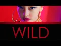 Download Lagu Goo Hara - WILD (Rom/Eng/Port Lyrics)