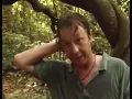 Dominant male orangutan pins down a wildlife photographer