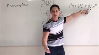 Controle da pressão arterial: mecanismo dos Barorreceptores