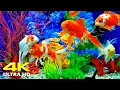 Aquarium 4K U Relaxing Coral Reef Fish Tank with Soothing Music for Sleep Study Meditation