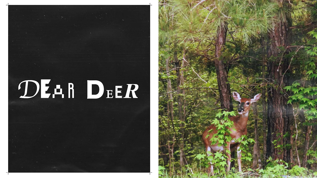 dear deer