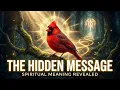 Seeing Red Cardinals Constantly Your Loved Ones Are Communicating