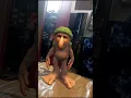 Download Lagu Lagu Brainroat🗿#edit #funny#tungtungtungsahur  #shorts #viral #tending