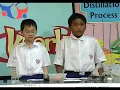 Kuark - Eksperimen Telur Berminyak