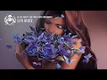 Alan Walker - All Falls Down (feat. Noah Cyrus & Digital Farm Animals)